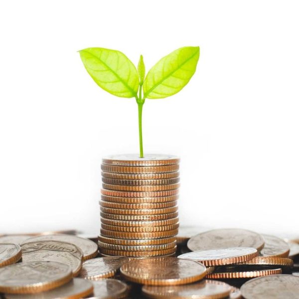 Set Donation Amount